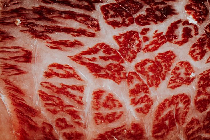 wagyubeef