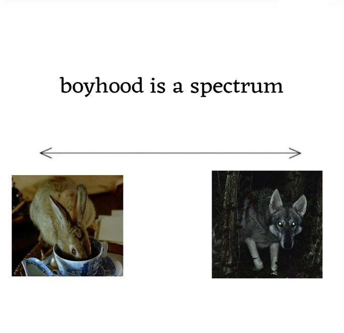 boyhoodspectrum