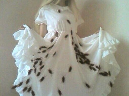 bugdress