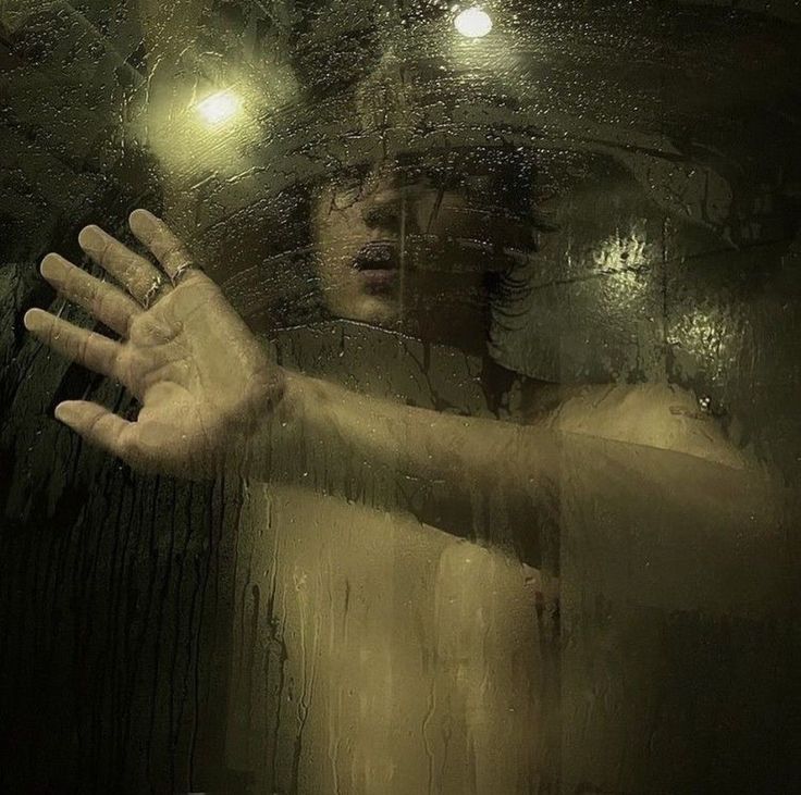 fogwipe