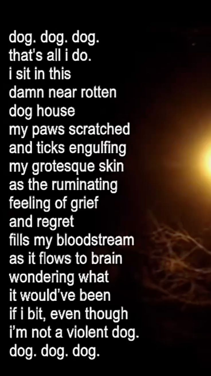 dogsdogsdogsquote