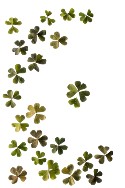 clovers